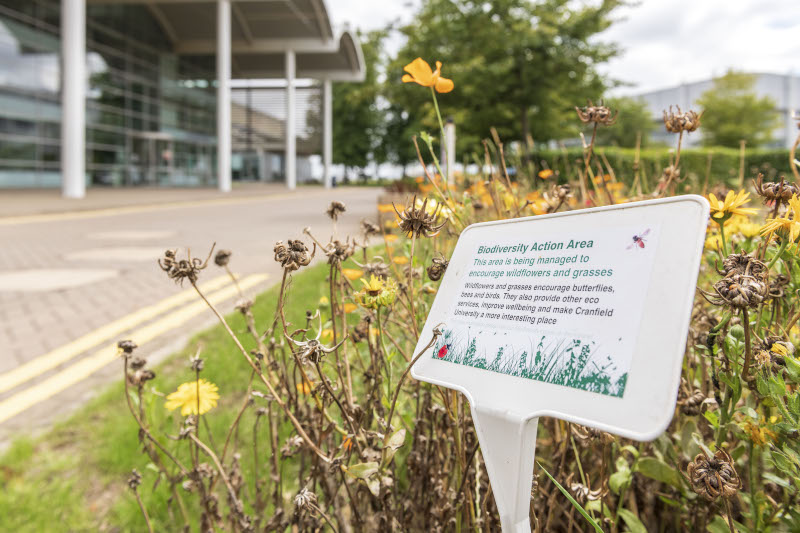 Biodiversity plot Biodiversity plot