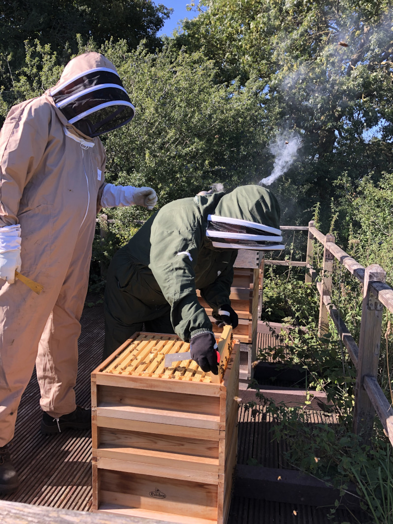 Living Lab beekeeping Living Lab beekeeping